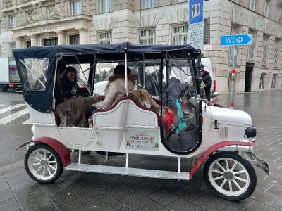 e-oldtimer-tours wien fahrzeug